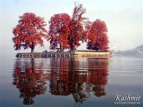 Char Chinar, Srinagar - Paradise Kashmir