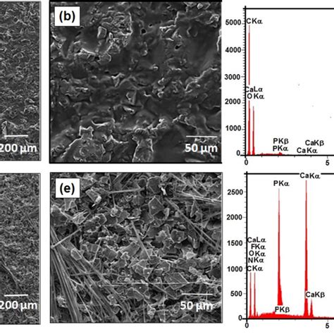 Low Magnification And The Higher Magnification Surface Of FESEM Images