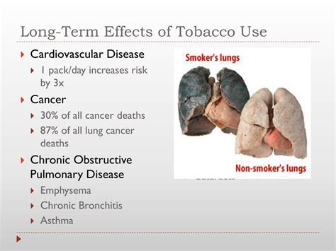 Ppt Tobacco Powerpoint Presentation Free Download Id2114830