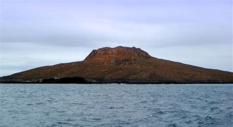 Sombrero Chino Travel In Ecuador And Galapagos