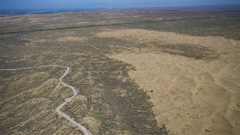 Inpics Desert Turns Into Oasis In Nw China Xinhua