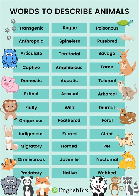 Adjectives Words to Describe Animals and Pets - EnglishBix