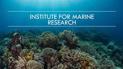 Institute For Marine Research Coral Reef And Marine Research Philippines