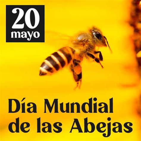 20 De Mayo Día Mundial De Las Abejas Abeja Obrera