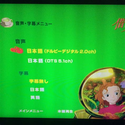 dvd dvd