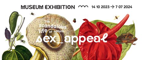 Sex appeal exhibiton the scandalous life of nature Muséum de Toulouse
