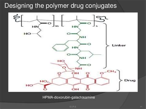 Drug Polymer Conjugate In Drug Delivery