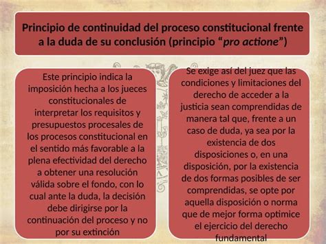 Clase Alcances Y Fines De Los Procesos Constitucionales Y Principios