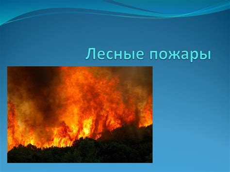 Презентация "Лесные пожары" – скачать проект