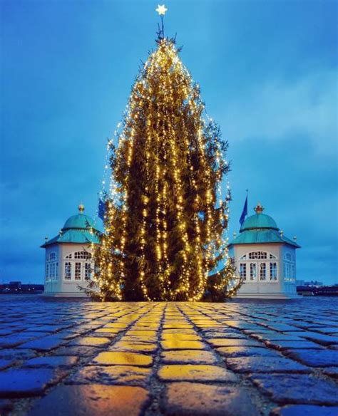 270+ Copenhagen Christmas Lights Stock Photos, Pictures & Royalty-Free ...