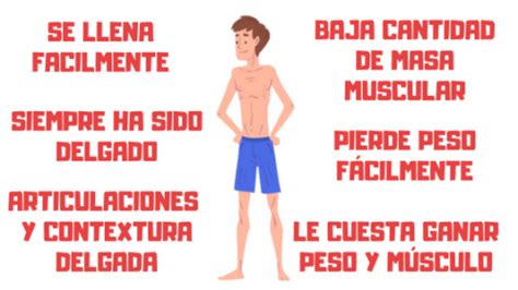 Cuerpo Ectomorfo Caracteristicas Alimentaci N Y La Soluci N Gu A