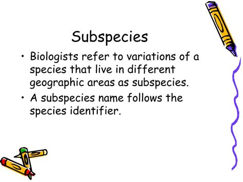 Ppt Classification Of Organisms Powerpoint Presentation Free