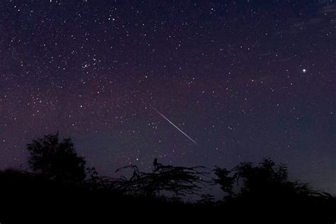 Geminid Meteor Shower How And When To Watch It Peak The New York Times