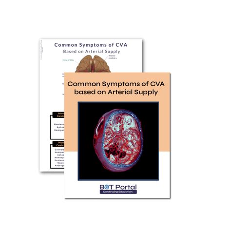 Common Symptoms Of Cva Based On Arterial Supply