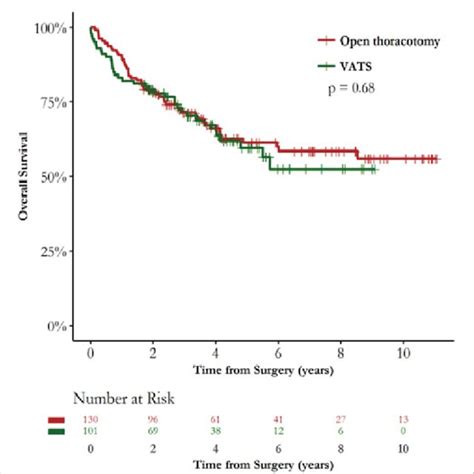 Kaplan Meier Survival Curves For Overall Survival Download