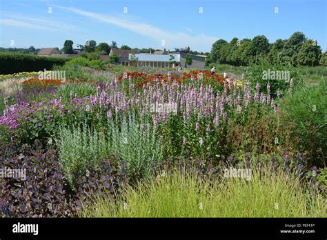 View Across Oudolf Field Designed By Landscape Architect Piet Oudolf To