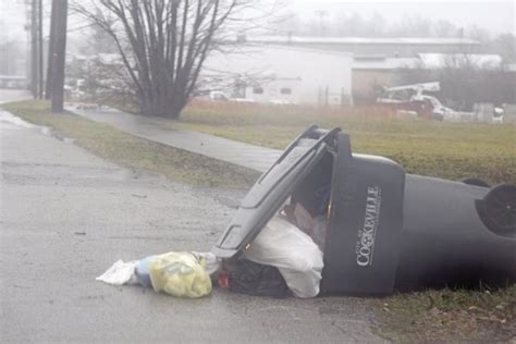 High Winds Down Trees Cause Power Outages Local News Herald