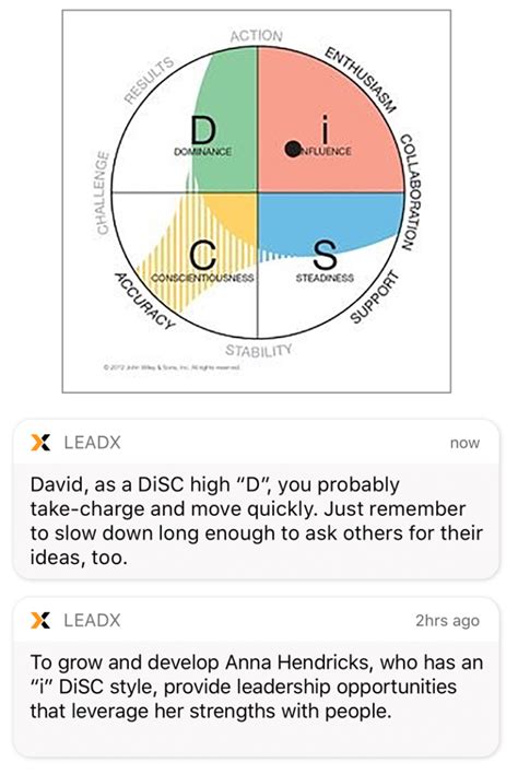 Everything Disc Assessment Personality Test Leadx