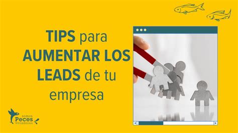 Estrategias Para Aumentar Los Leads De Tu Empresa