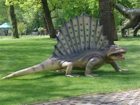 Dimetrodon 310cm Online Shop Des Unternehmens