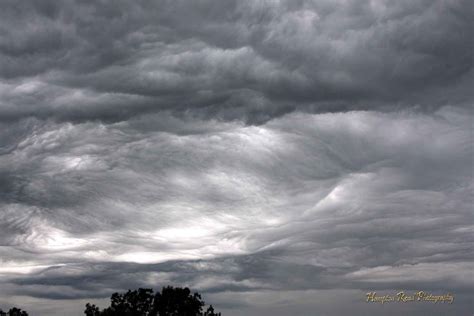 Hampton Road Photography Repost For Thematic Photographic Undulatus