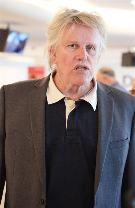 Gary Busey Charged With Three Sex Crimes Allegedly Committed At Horror Film Fan Convention