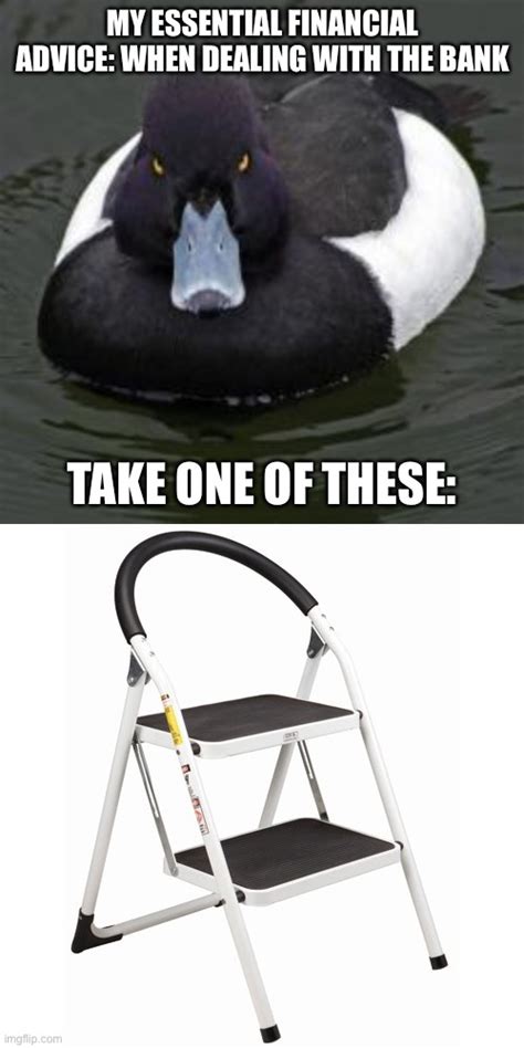 Image Tagged In Angry Advice Mallard Step Ladder Imgflip