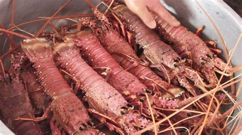 Lobster Crab Gentian Grouper Mullet Roe Taiwanese Chef Cooking