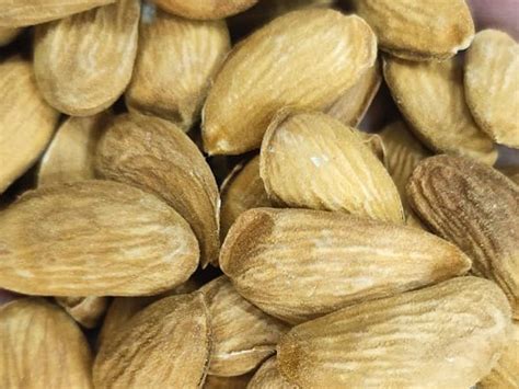 Mamra Almond Nuts At Rs 1400 Kg Mamra Almonds In Katra ID 23477875897