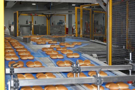 Premium Dough Conveyors Bakery Conveyor Equipment Solutions