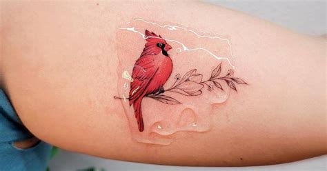 Micro Realistic Cardinal Tattoo Done On The Inner Arm