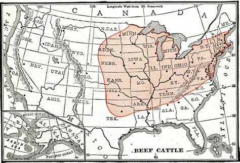 Beef Cattle Regions Of The United States