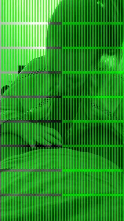 Seattle Snowbunny Loves BBC American Amateur Amateur Porn XHamster