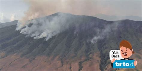 Apa Itu Tornado Api Bromo dan Dampak Kebakaran Terkini