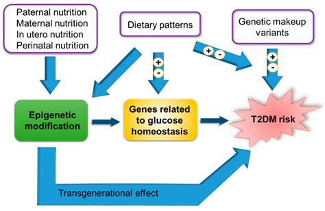 Ijms Free Full Text Gene Diet Interactions In Type 2 Diabetes The