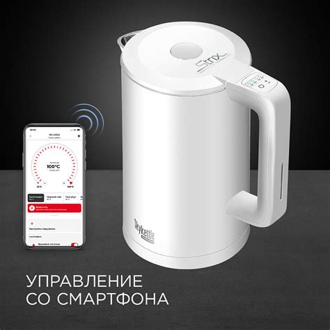 Умный чайник REDMOND SkyKettle M216S: купить в Москве, СПб, России ...