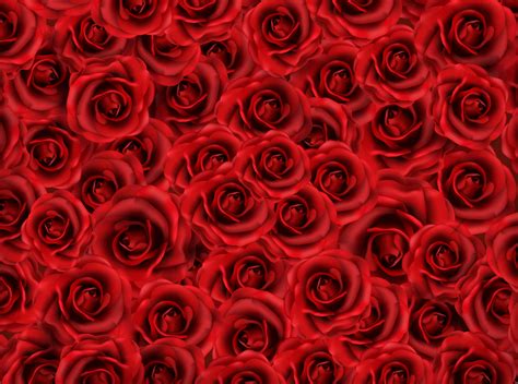 🔥 Free Download Red Roses Background Gallery Yopriceville High Quality