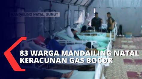 83 Korban Keracunan Gas H2s Di Mandailing Natal Masih Alami Mual Dan