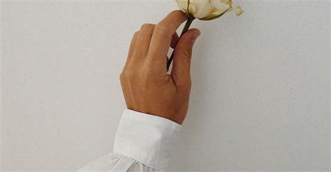 Hand Holding White Flower · Free Stock Photo