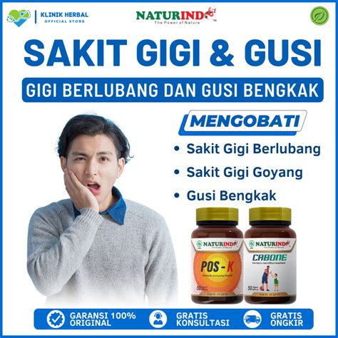 Jual Obat Sakit Gigi Berlubang Ampuh Dan Gusi Bengkak Herbal Pos K