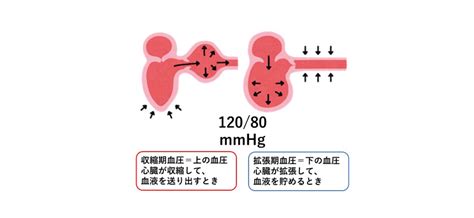 japanese circulation association