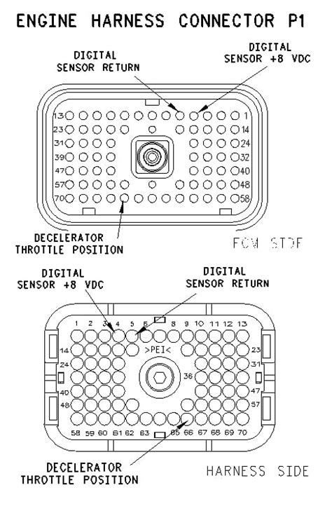 Cat 3126 Ecm Wiring Diagram