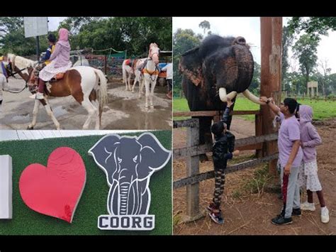 Dubare Elephant Camp Coorg Karnataka Tourism Full Tour 4K YouTube