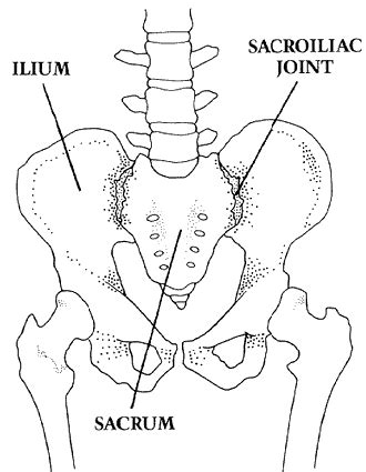 Pelvic Fracture Surgery | UW Orthopaedic Surgery and Sports Medicine