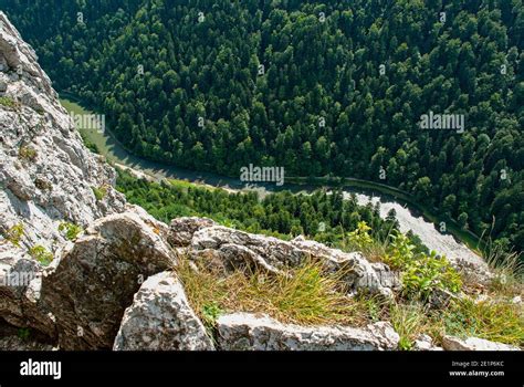 The Dunajec River Gorge View From The Top Of Sokolica Mountain Stock