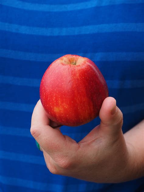 Free Images Hand Apple Fruit Flower Food Red Produce Peach