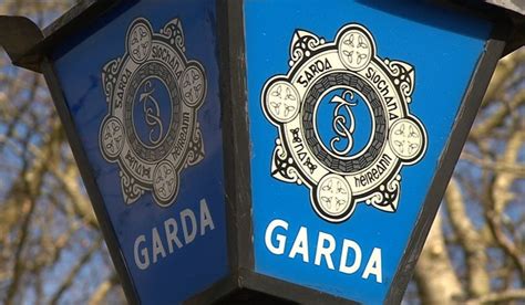 Gardaí Appeal For Witnesses To Rock Throwing Incident At Carlow Home