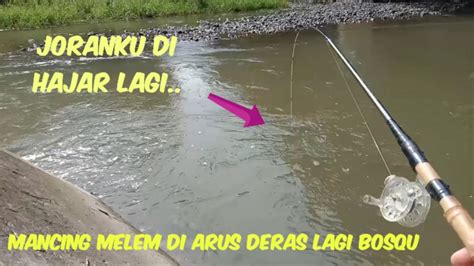 Full Strike Mancing Ikan Melem Di Spot Arus Deras Part 4 Micro