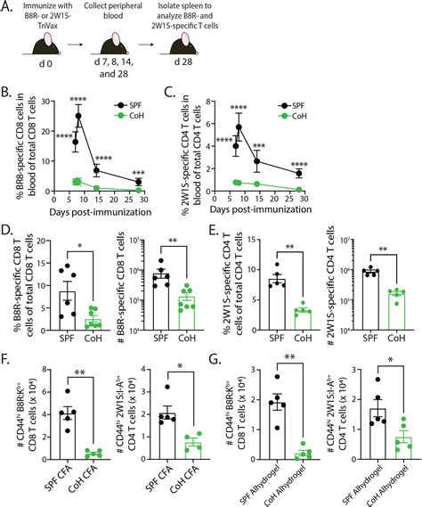 Reduced T Cell Priming In Microbially Experienced ‘dirty Mice Results