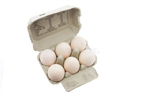 White Eggs on Egg Carton stock photo. Image of farming - 4662898